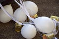 White wedding balloons behind a car