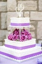 White Wedding Cake Royalty Free Stock Photo