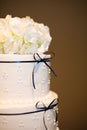 White Wedding Cake Royalty Free Stock Photo