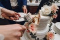 White wedding cake Royalty Free Stock Photo