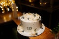 White wedding cake decorated with chocolate flowers and blueberries Royalty Free Stock Photo