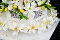 White wedding cake