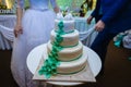 White wedding cake decorated by flowers fruits Royalty Free Stock Photo