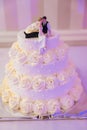 White wedding cake decorated by flowers fruits Royalty Free Stock Photo