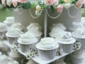 white wedding cake decorated by flowers standing on festive table with lots of snacks on side Royalty Free Stock Photo