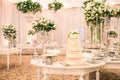 WHITE  WEDDING CAKE AT IMPRESSIVE COLOURFUL VENUE WITH BEAUTIFUL CANDY TABLES, FLORAL GREEN DECORATION, BLURRED BACKGROUND, YELLOW Royalty Free Stock Photo