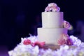 The white wedding cake Royalty Free Stock Photo