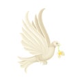 White Wedding Dove Flying with Flower in Beak Closeup Vector Illustration Royalty Free Stock Photo