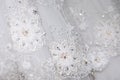 White wedding dress details & shining lace