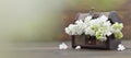 Wedding flowers in wooden vintage chest. Wedding decoration Royalty Free Stock Photo