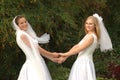 White wedding happiness Royalty Free Stock Photo