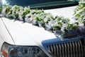 White wedding limousine with flowers Royalty Free Stock Photo