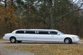 white wedding limousine with tinted panoramic windows Lincoln town car stands in the autumn forest