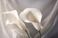 White wedding nature lily beauty blossom plant flower flora calla Royalty Free Stock Photo