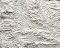 White wheat flour texture, macro
