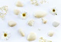 White on white overhead image of seashells and flowers on a white background.