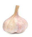 Garlic dry