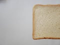 White whole wheat bread slice. Royalty Free Stock Photo