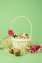 White wicker basket filled with straw,small pink roses,quail eggs on a green background. The concept of Easter Holidays. Easter Royalty Free Stock Photo