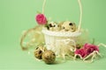White wicker basket filled with straw,small pink roses,quail eggs on a green background. The concept of Easter Holidays. Easter Royalty Free Stock Photo