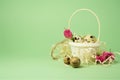 White wicker basket filled with straw,small pink roses,quail eggs on a green background. The concept of Easter Holidays. Easter Royalty Free Stock Photo