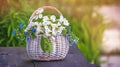 White wicker basket flowers forget-me-nots and Apple on a green natural background in Sunny day. Copy space