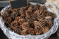 White wicker basket full of cones for Christmas decoration Royalty Free Stock Photo