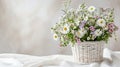 In a white wicker basket standing on a white tablecloth are spring flowers, daisies and bluebells