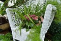 White wicker chair in the garden, plants in pots stand on the chair. Beautiful design Royalty Free Stock Photo