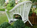 White wicker chair in the garden, plants in pots stand on the chair. Beautiful design Royalty Free Stock Photo