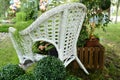 White wicker chair in the garden, plants in pots stand on the chair. Beautiful design Royalty Free Stock Photo