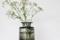 Wild flower bouquet in glass vase on table Royalty Free Stock Photo