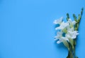 White wild flowers are decorate on the blue frame Royalty Free Stock Photo