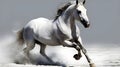 White wild horse running in the nature blur background Royalty Free Stock Photo