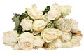 White wilted roses