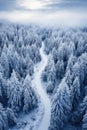 White winding road in coniferous forest in winter, vertical aerial view of snowy blue woods. Scenery of snow, path and frozen