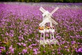 White Windmill and Lavender field Royalty Free Stock Photo