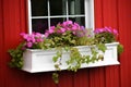 Window Box Full of Pink Flowers and Ivy Royalty Free Stock Photo
