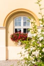 A white window decorated with red geranium flowers. Yellow pastel wall with an arcade Royalty Free Stock Photo