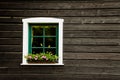 White window with flowers and green frame on a countryside house or cottage with dark black wooden wall Royalty Free Stock Photo