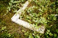 White window frame abandoned in the grass