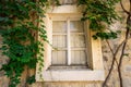 a white window of an old house and a facade covered with green ivy, a white weathered wall, medieval European architecture, city Royalty Free Stock Photo