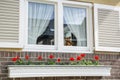 White window with red flowers and small toy bear Royalty Free Stock Photo