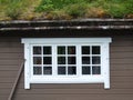 White window and roof with grass Royalty Free Stock Photo