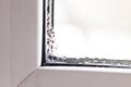 . white window. there is condensation on it. close-up Royalty Free Stock Photo