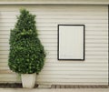 White window on white textured wooden wall, also a green tree on left. Royalty Free Stock Photo