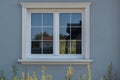 White windowon gray facade of newly built house. Tall grass growing below. On glass can see reflections of houses opposite. Royalty Free Stock Photo