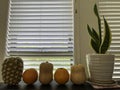 White windows pane with oranges, pineapple and plant