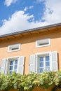 White windows with shutters on the yellow facade of an ancient villa entwined with green grapes Royalty Free Stock Photo