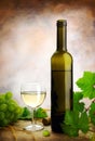White wine Royalty Free Stock Photo